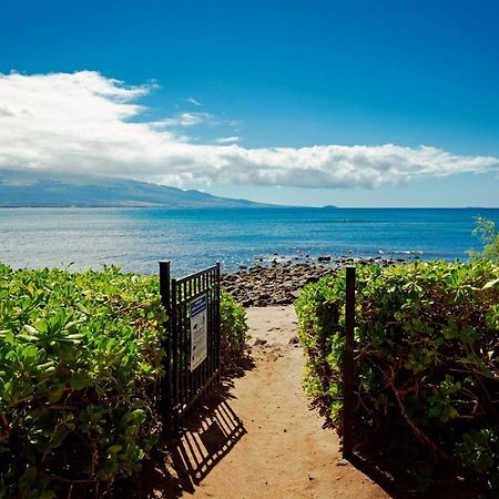 Stunning Maui Direct Ocean Front On The Beach, Walk To Beach From Condo, Watch Turtles, Whales, Ac In All Rooms Ocean View Pool And Spa Wailuku Exterior foto